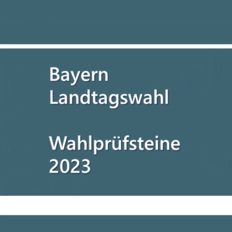 Wahlprüfsteine